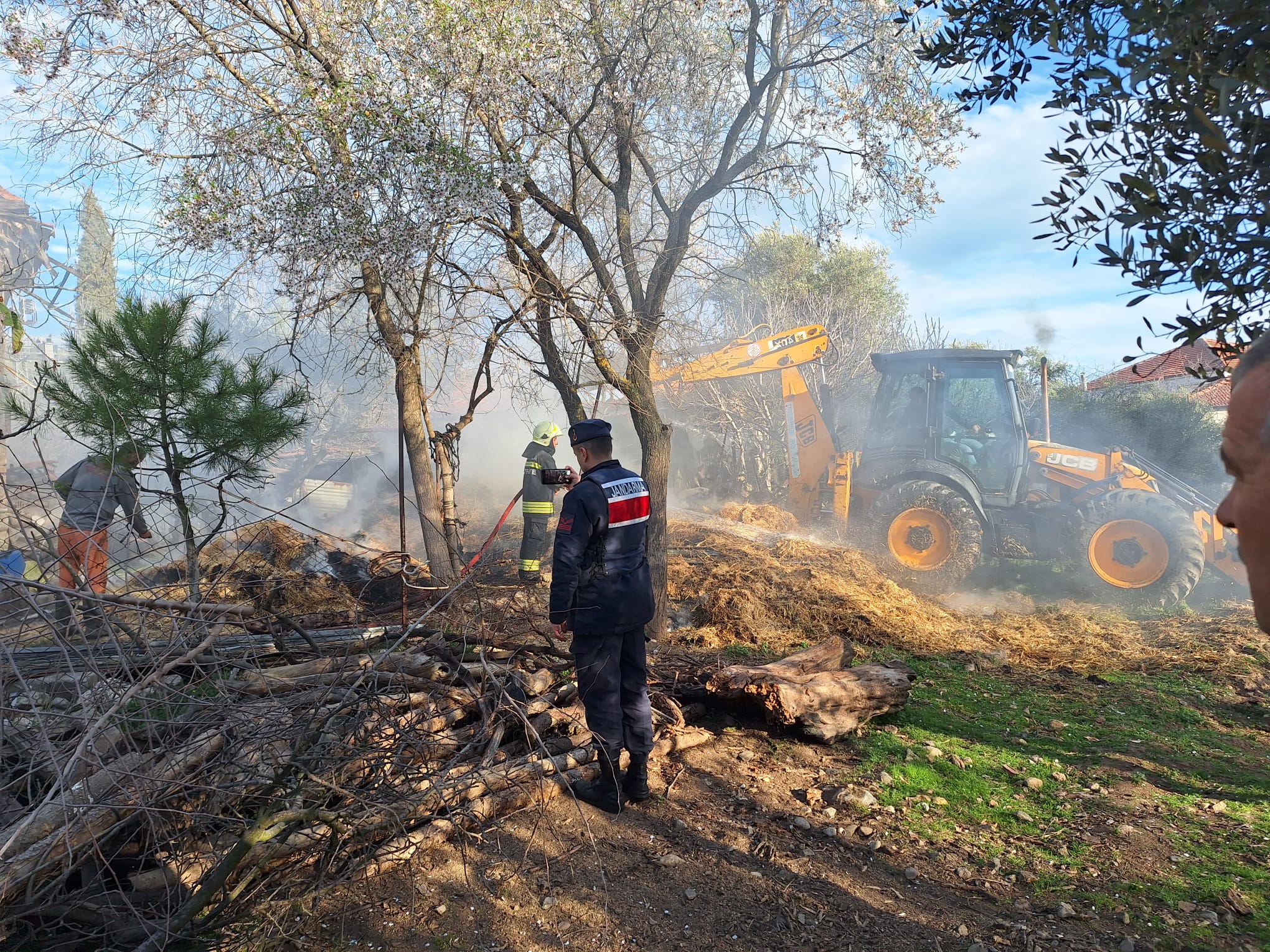 Whatsapp Image 2025 03 13 At 10.09.51