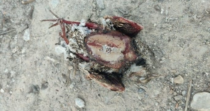 Whatsapp Image 2025 03 13 At 10.12.39