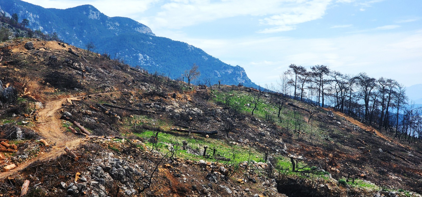 Whatsapp Image 2025 03 13 At 15.45.10