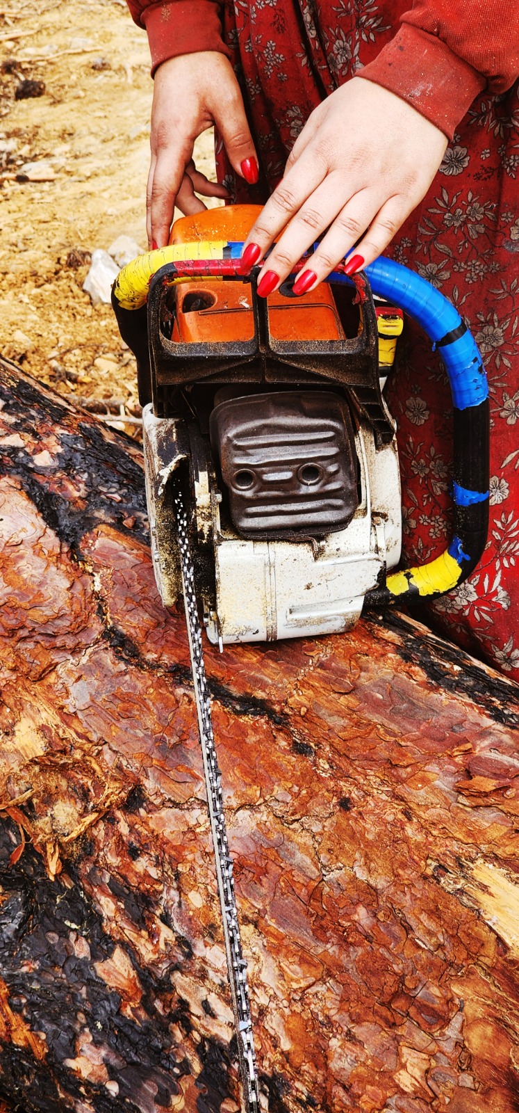 Whatsapp Image 2025 03 13 At 15.45.18