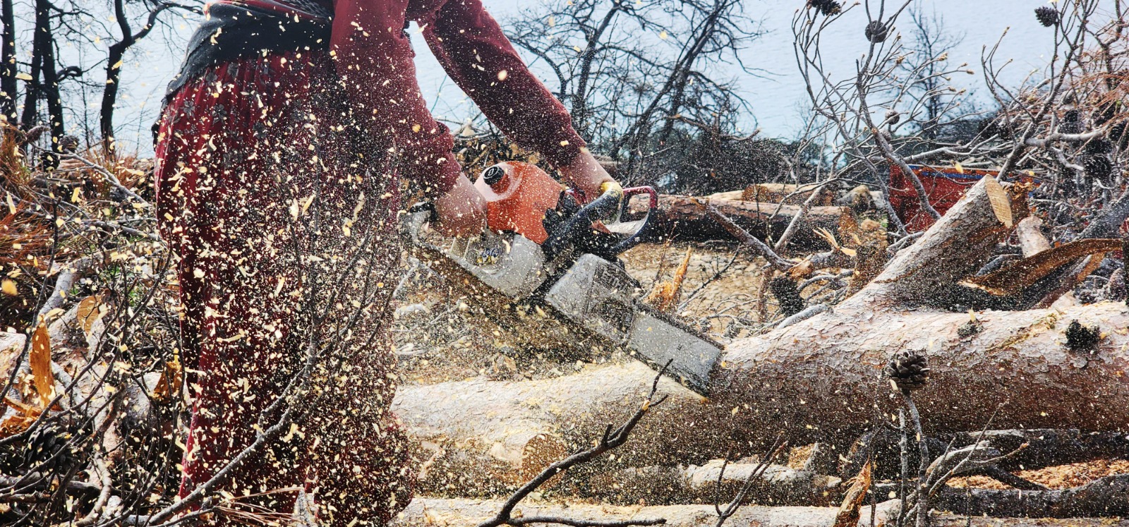 Whatsapp Image 2025 03 13 At 15.45.22