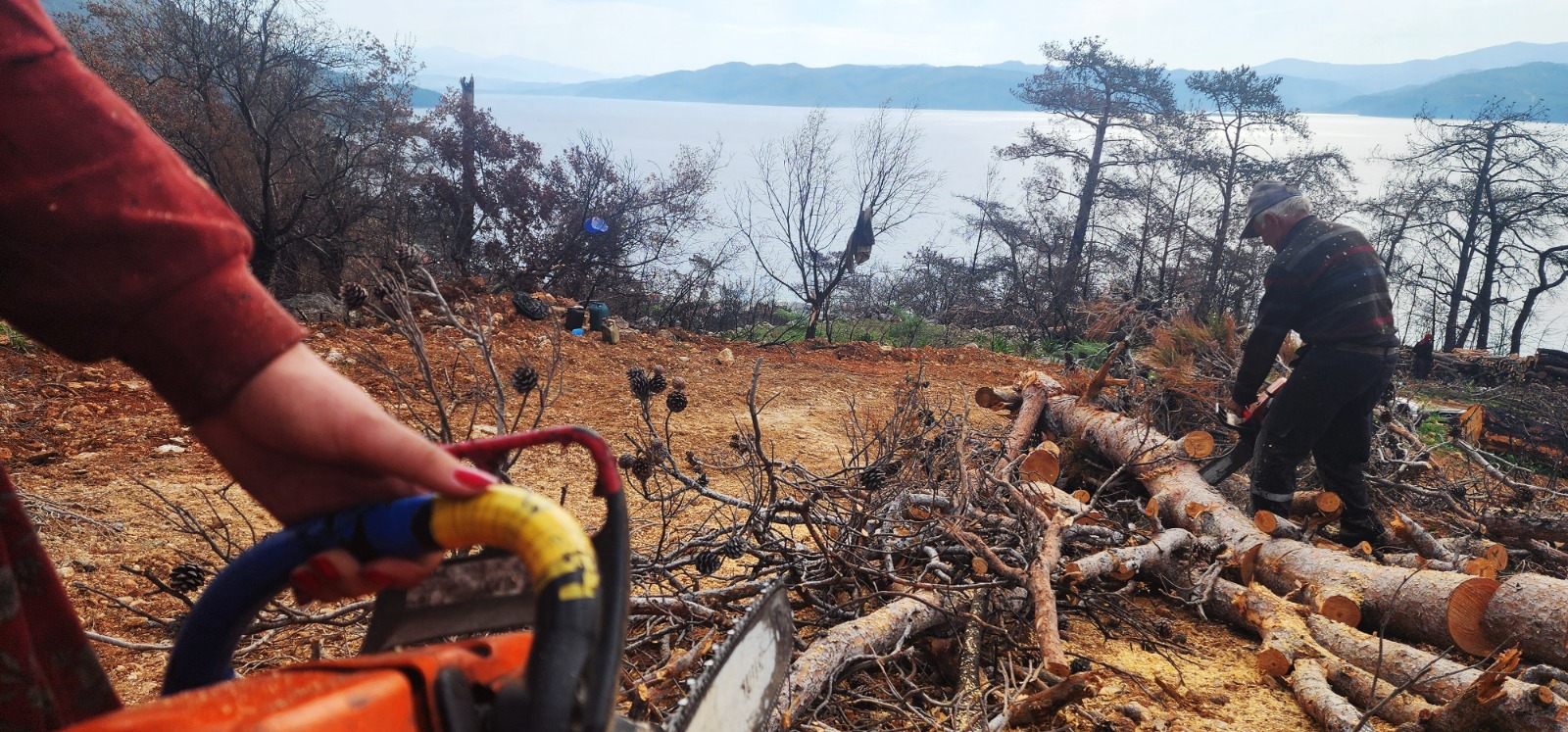 Whatsapp Image 2025 03 13 At 15.45.24