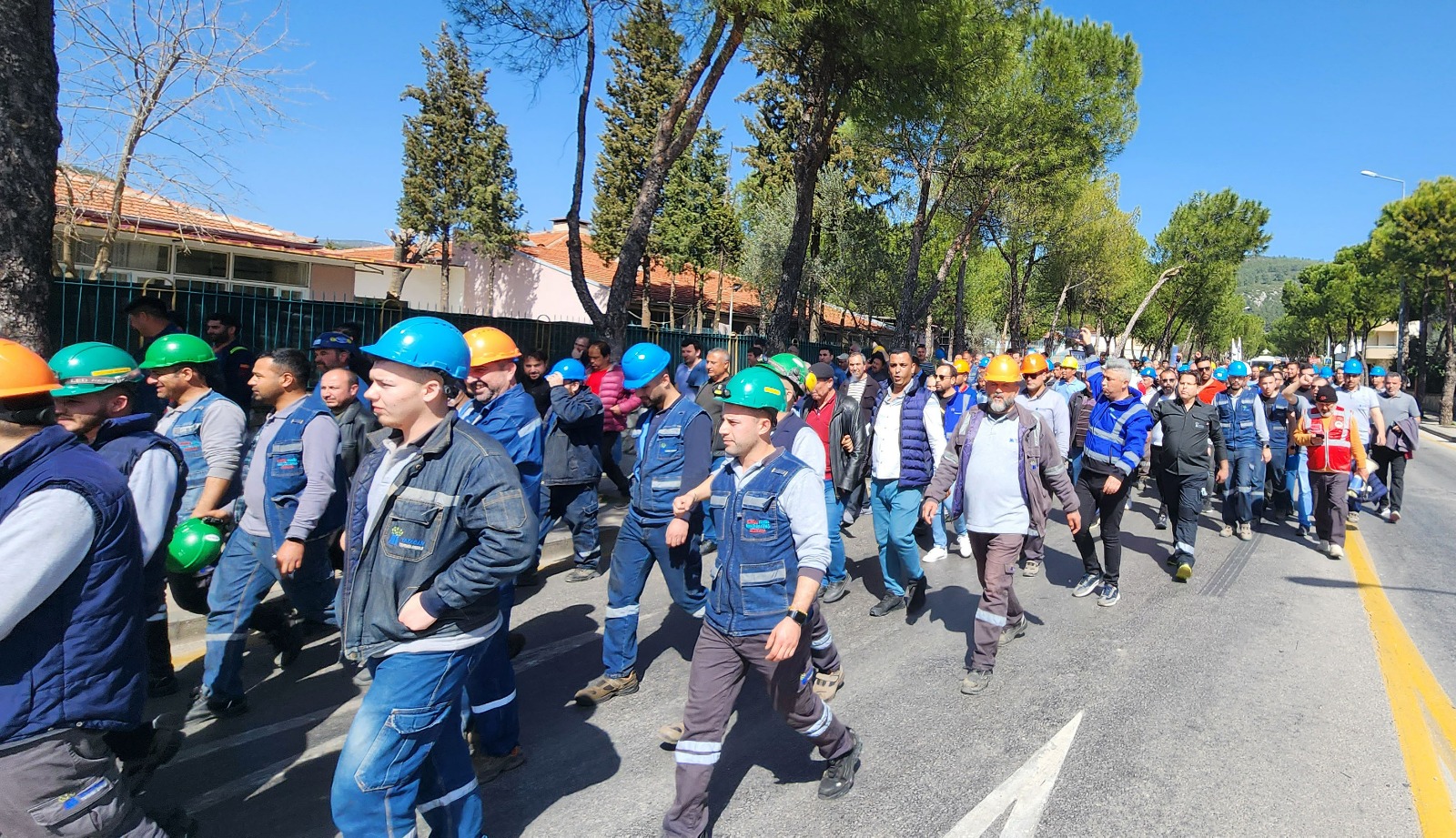 Whatsapp Image 2025 03 14 At 16.23.24