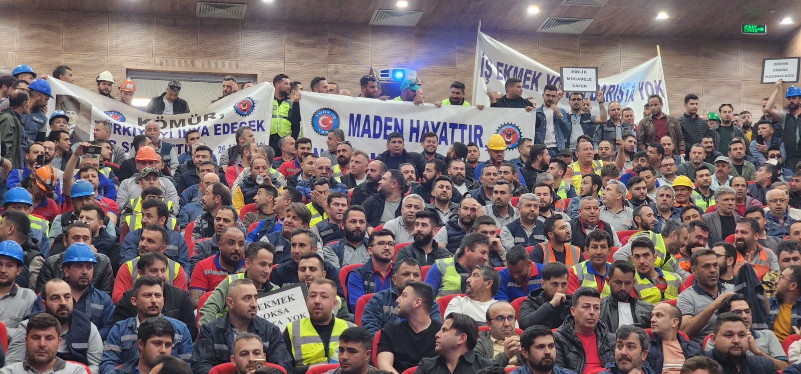 Whatsapp Image 2025 03 14 At 16.23.27