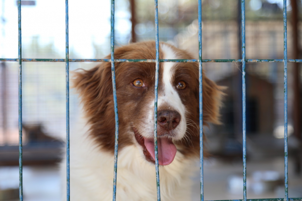 Whatsapp Image 2025 03 18 At 17.36.58 (1)