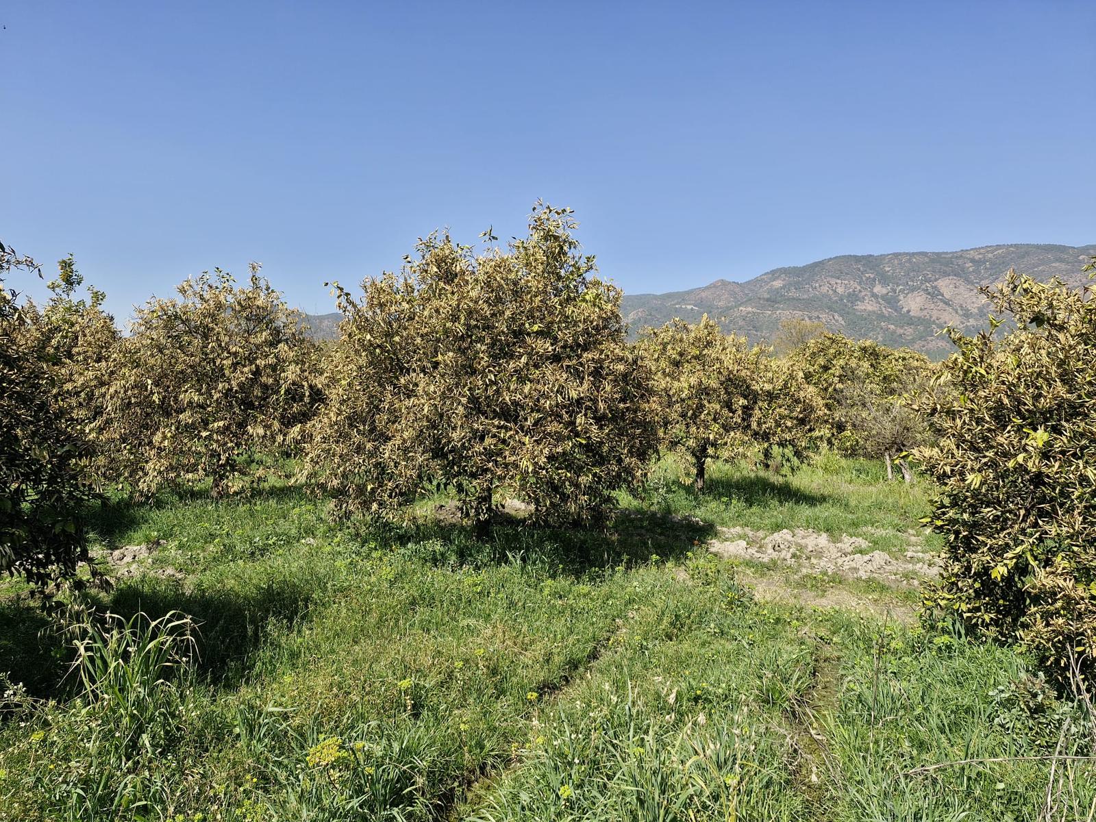 Whatsapp Image 2025 03 19 At 09.19.06 (1)