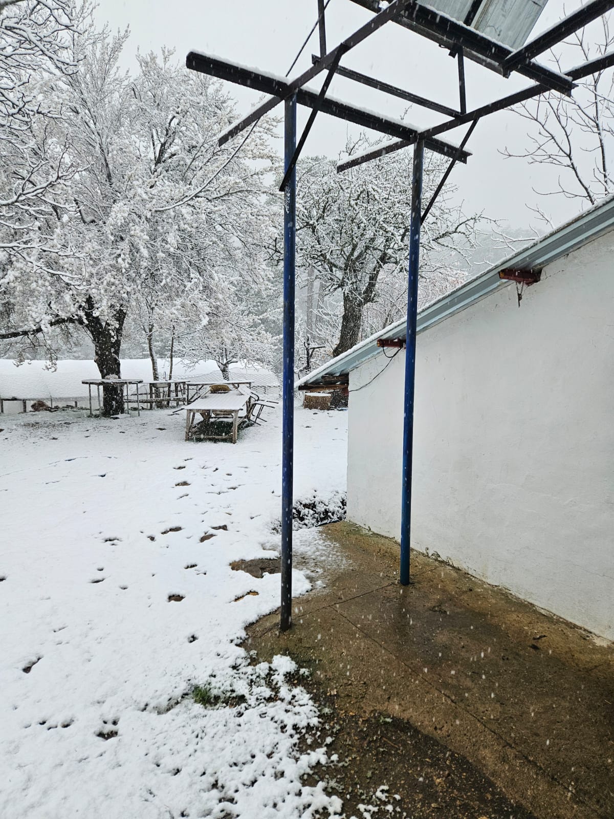 Whatsapp Image 2025 03 19 At 09.38.01