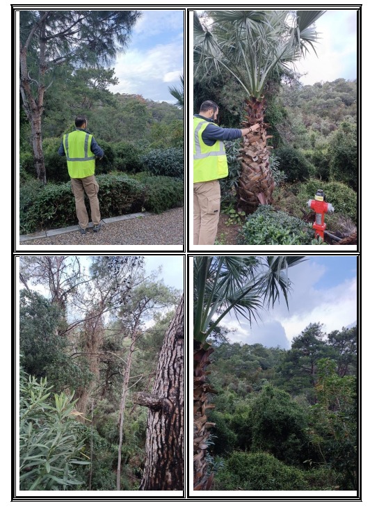 Whatsapp Image 2025 03 20 At 12.09.01 (1)