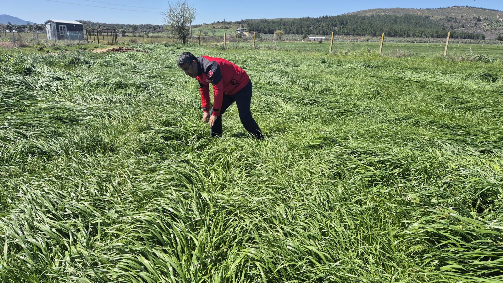 Whatsapp Image 2025 03 21 At 16.04.53