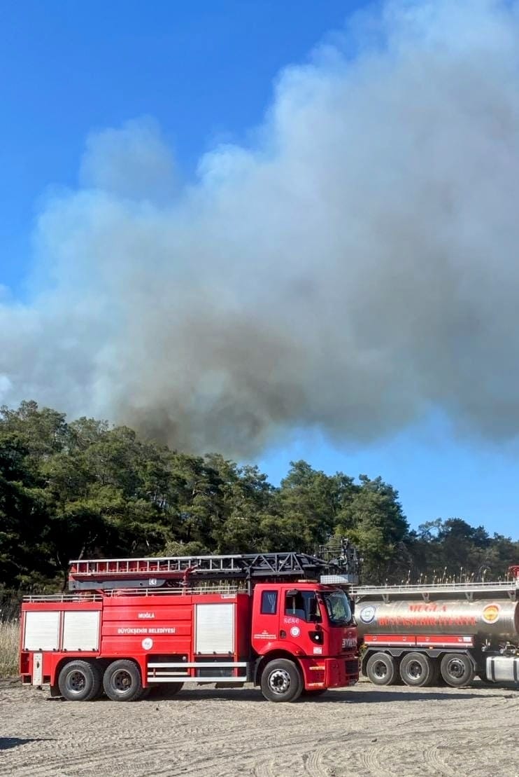 Whatsapp Image 2025 03 22 At 16.26.42 (2)