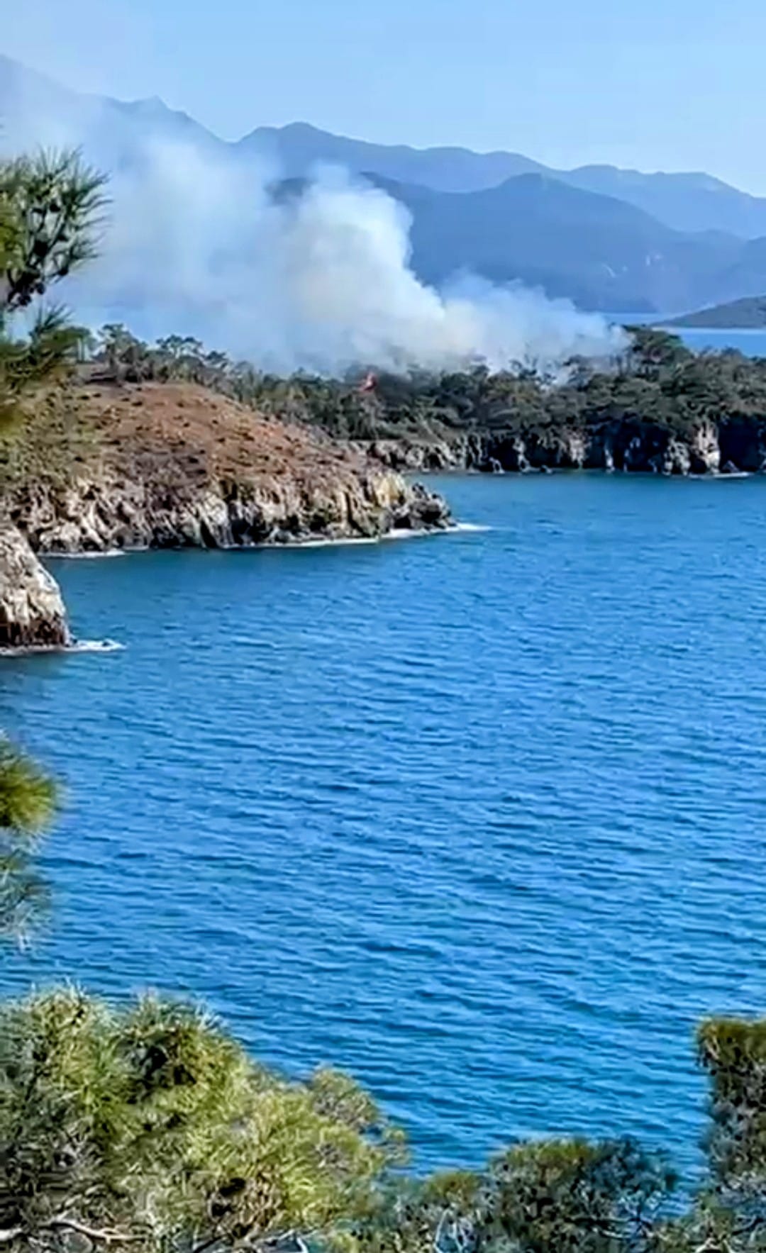 Whatsapp Image 2025 03 22 At 16.26.42