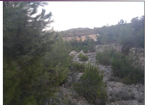 Whatsapp Image 2025 03 26 At 11.16.39