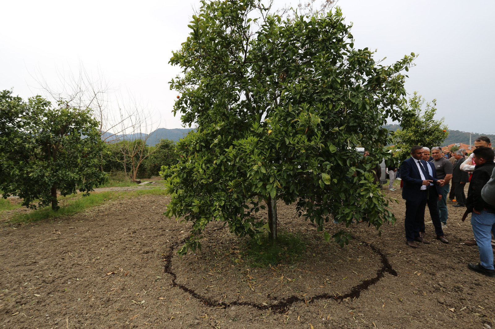 Whatsapp Image 2025 03 26 At 11.58.26