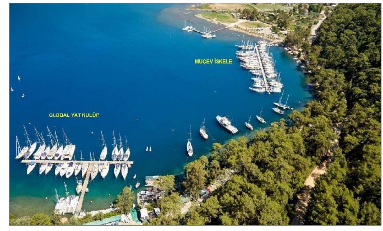 Whatsapp Image 2025 03 28 At 12.03.16