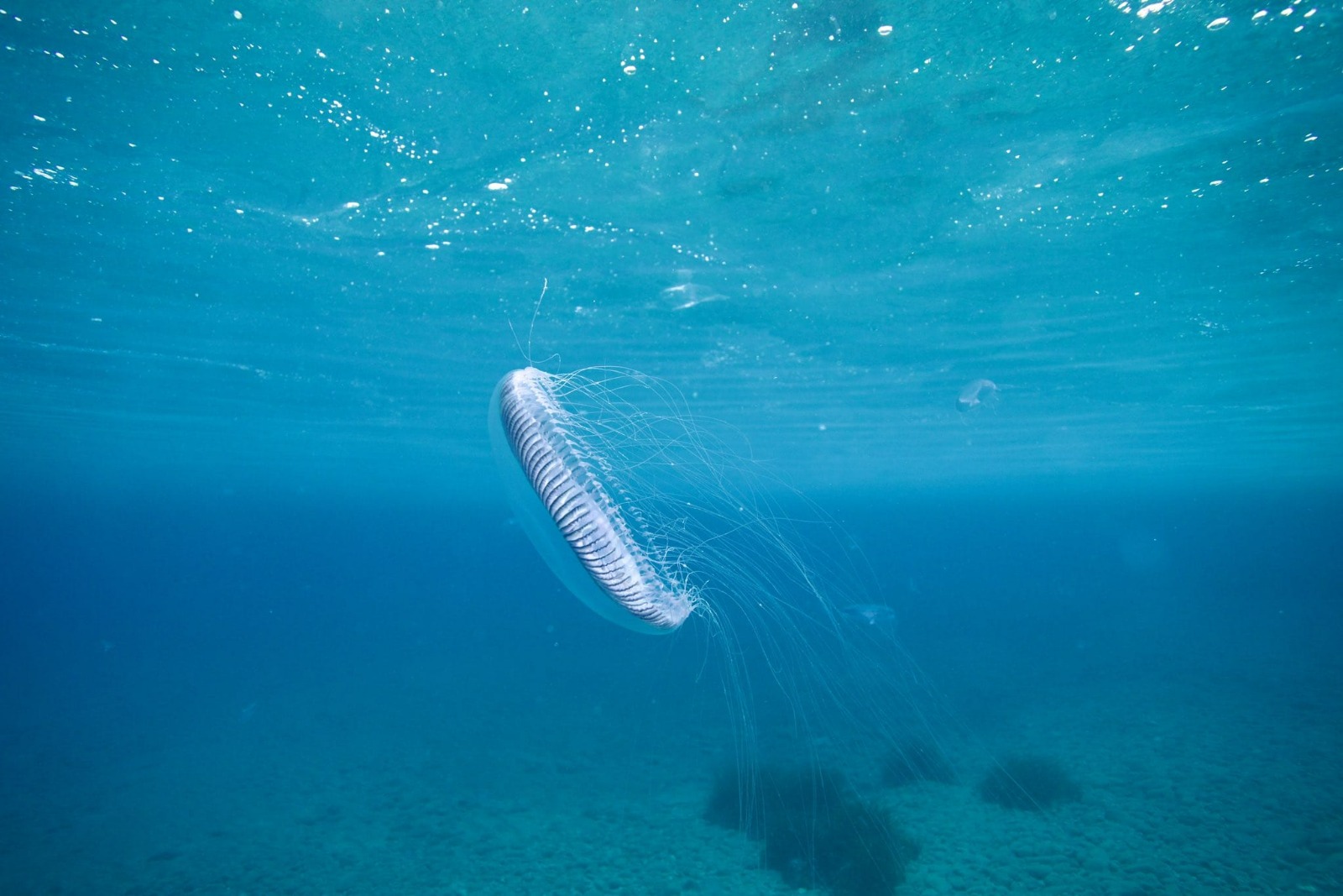 Whatsapp Image 2025 03 28 At 17.18.01 (1)