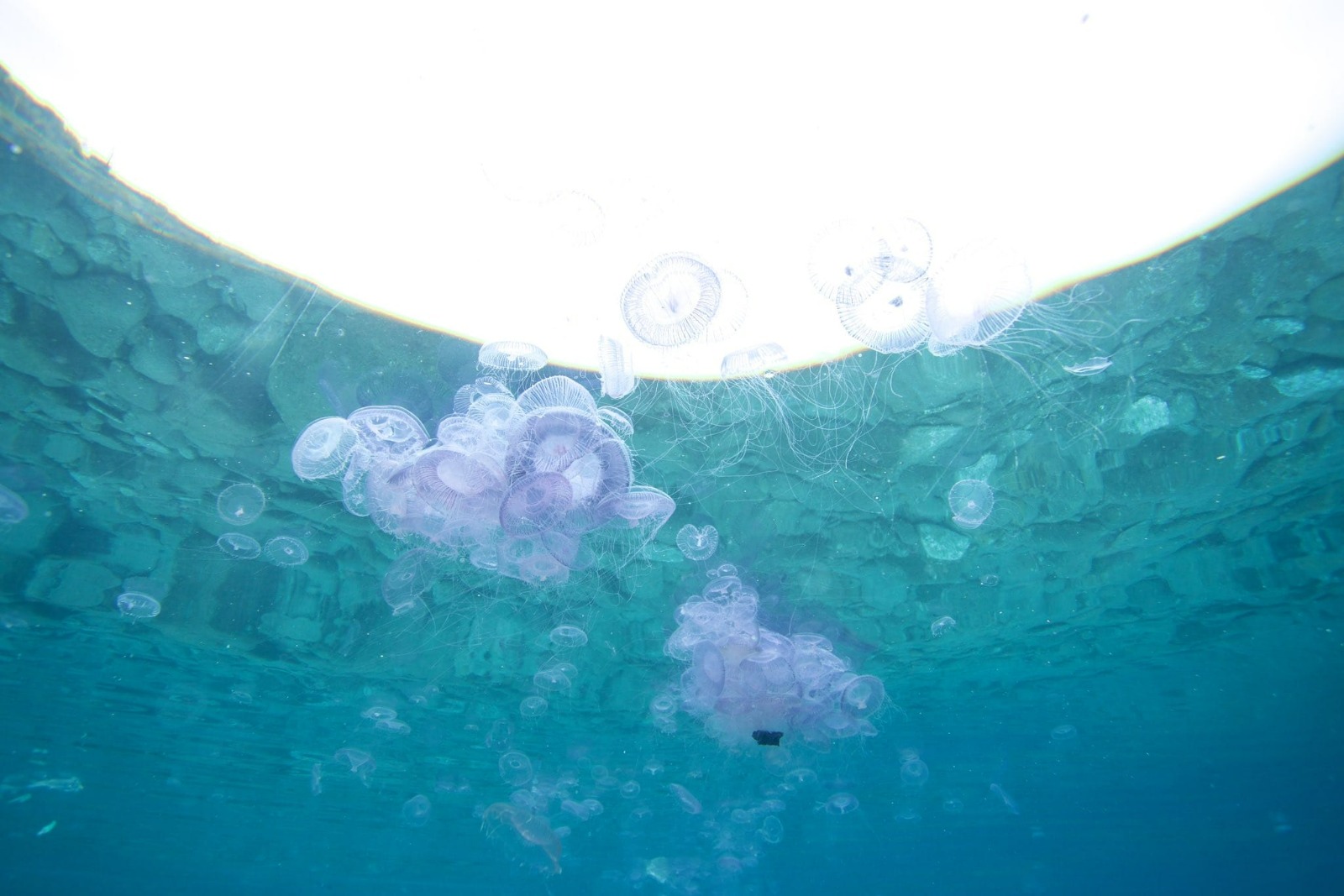 Whatsapp Image 2025 03 28 At 17.18.01