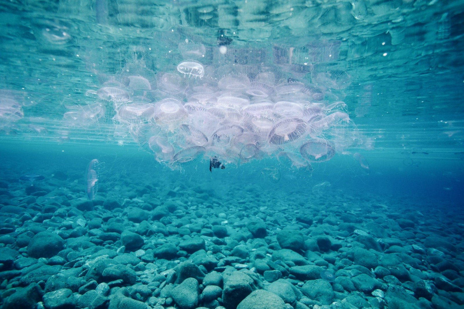 Whatsapp Image 2025 03 28 At 17.18.02 (1)