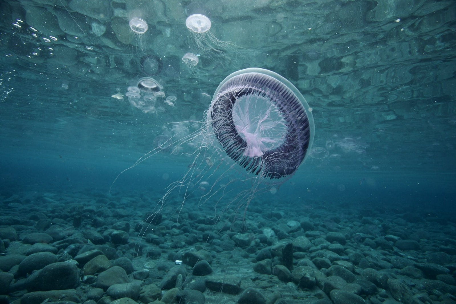 Whatsapp Image 2025 03 28 At 17.18.02