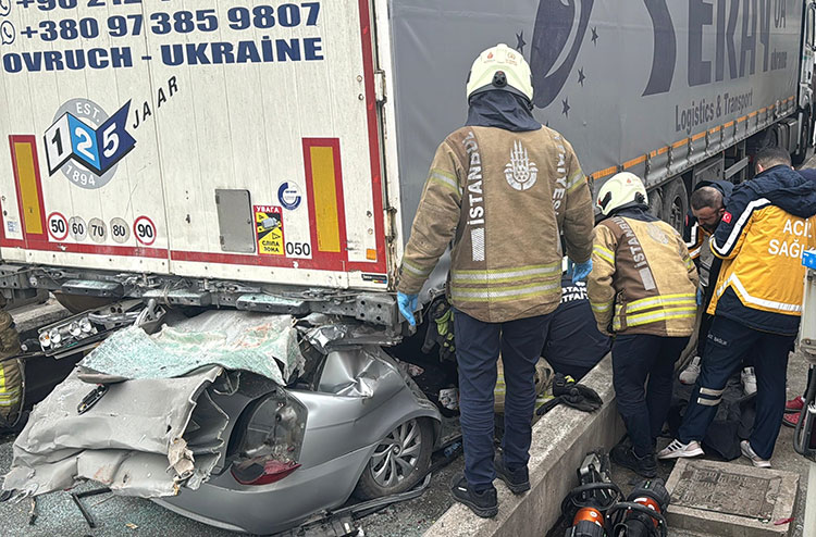 02.06 12 New Folder (6) 20250405 2 68432341 111395693