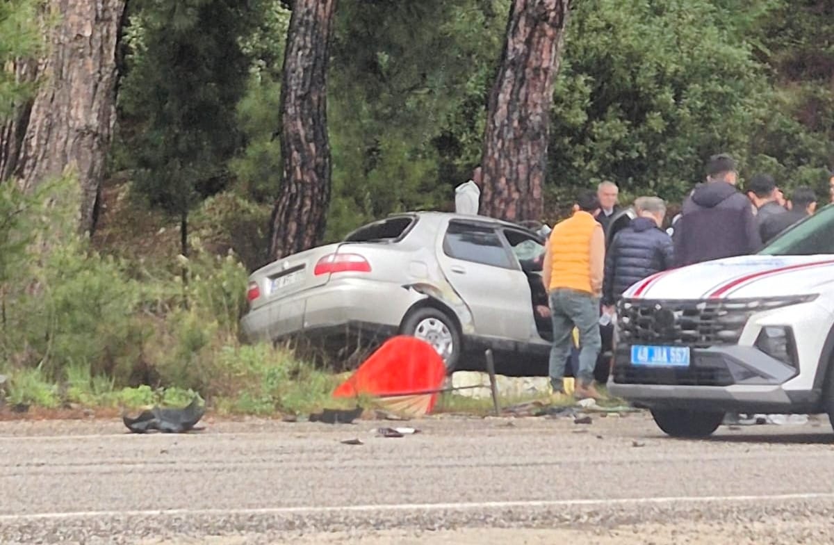 2094A4B6 B0Db 40E6 Afcd 27C46E7Cf6D1