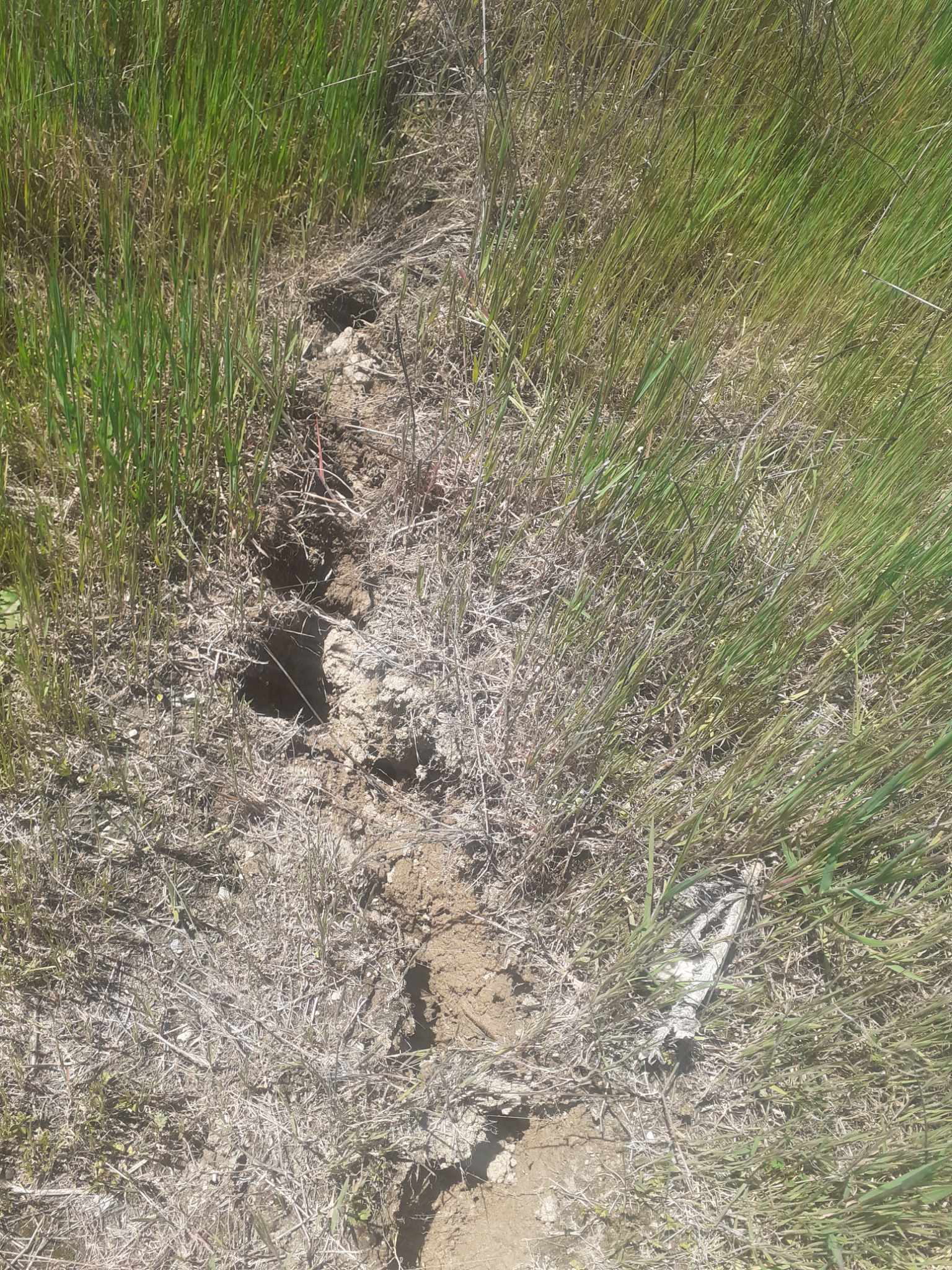 490980996 979839167658094 9197159274715327888 N