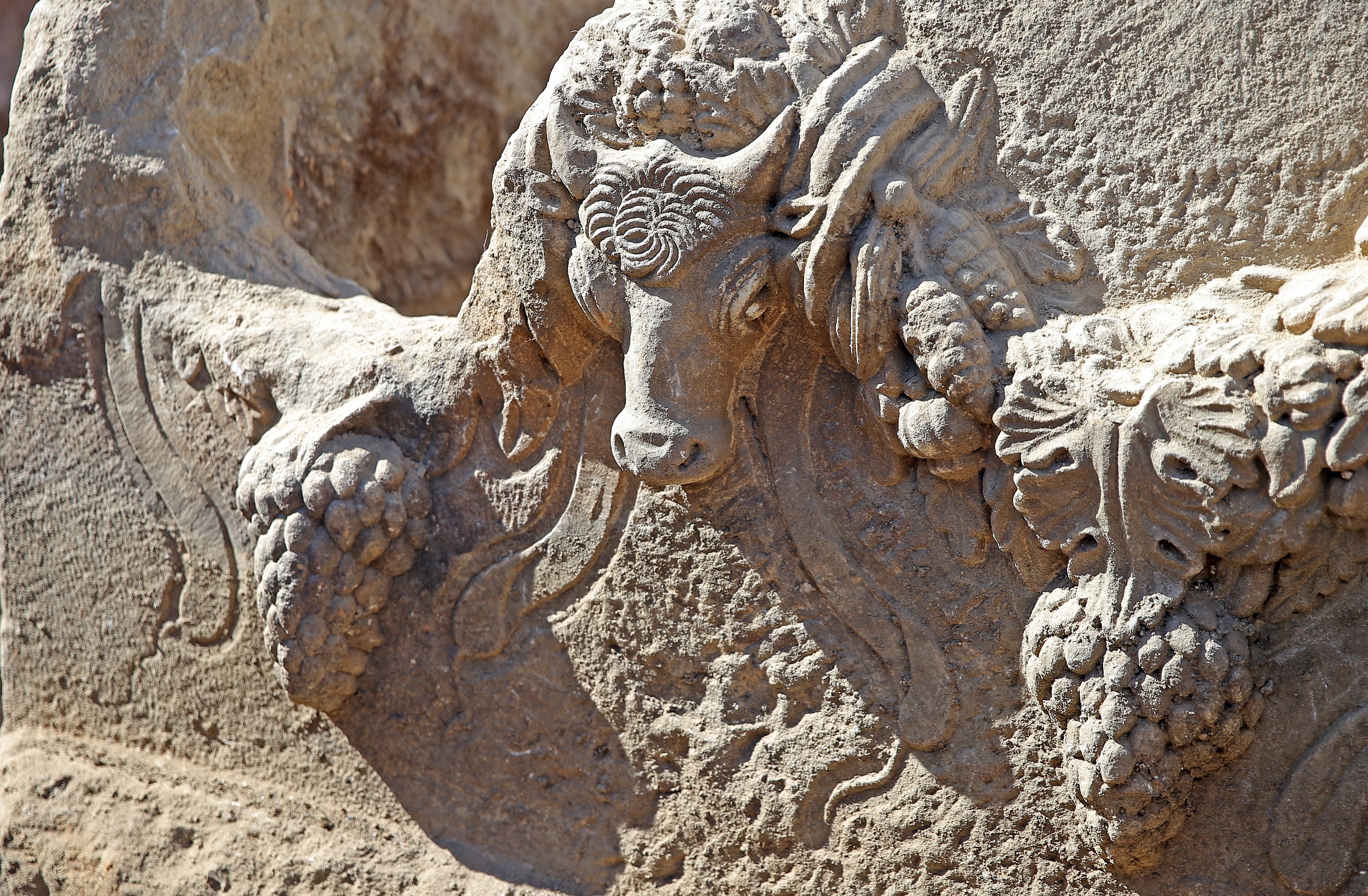 A A 20250427 37764978 37764960 G L A D Y A T O R L E R K E N T I S T R A T O N I K E I A D A 2 B I N Y I L O N C E S I N E A I T G I R L A N D L I L A H I T B U L U N D U-1