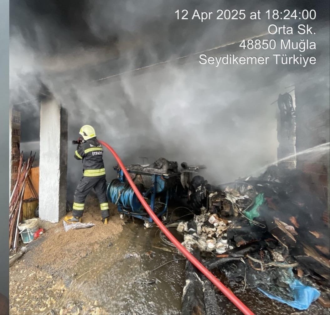 B0F6C688 0Daa 4388 8Aa5 Ef447084A957