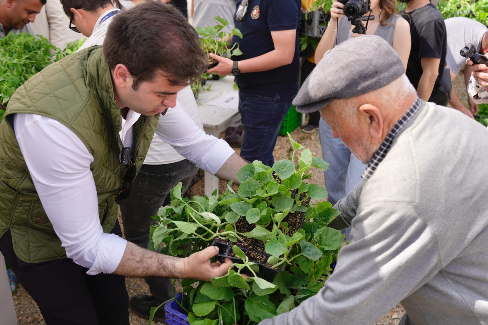 Bodrum Belediyesi 250 Bin Fide Üreticiyle Buluştu (4)