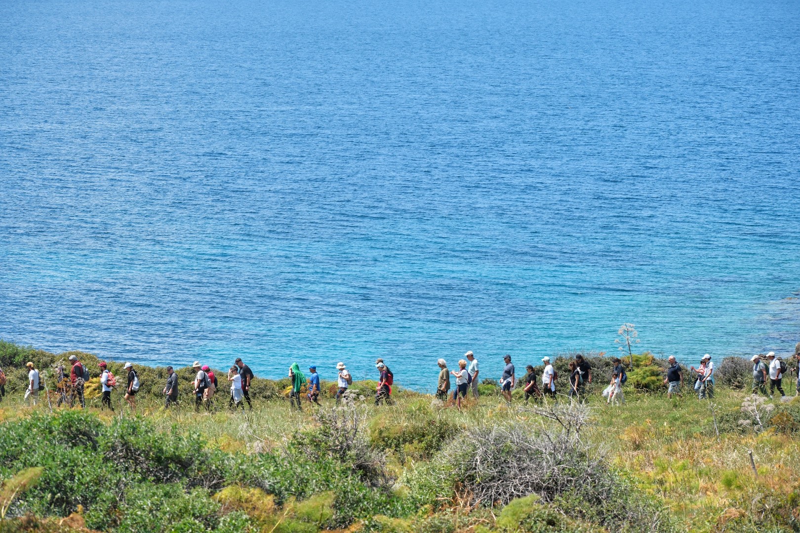 Bodrum Belediyesi Kültür Ve Doğa Yürüyüşünde Rota Myndos Antik Kenti (11)