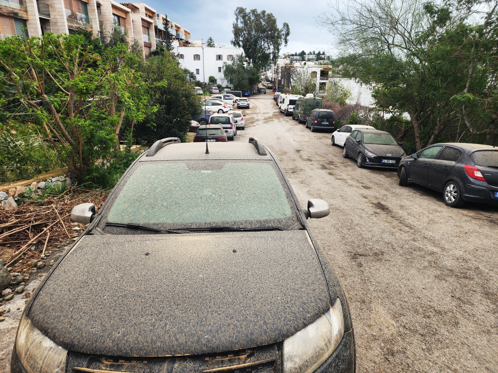 Whatsapp Image 2025 04 01 At 09.55.44