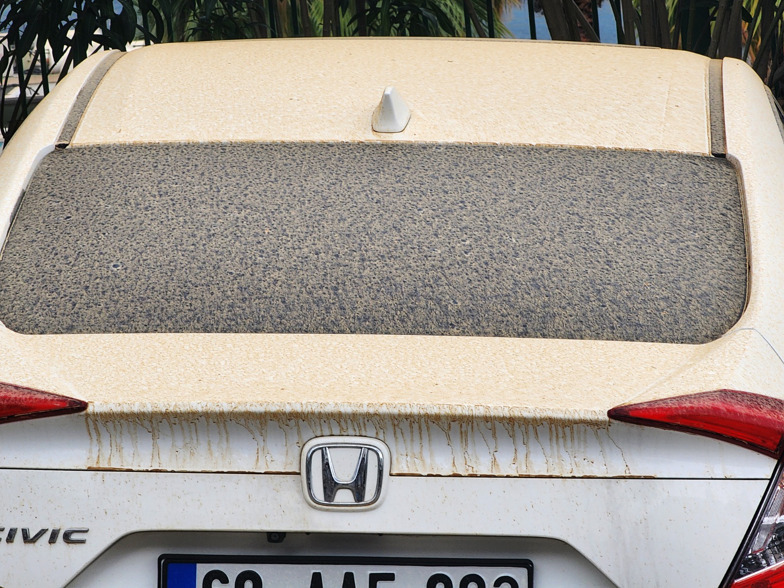 Whatsapp Image 2025 04 01 At 09.55.45 (1)