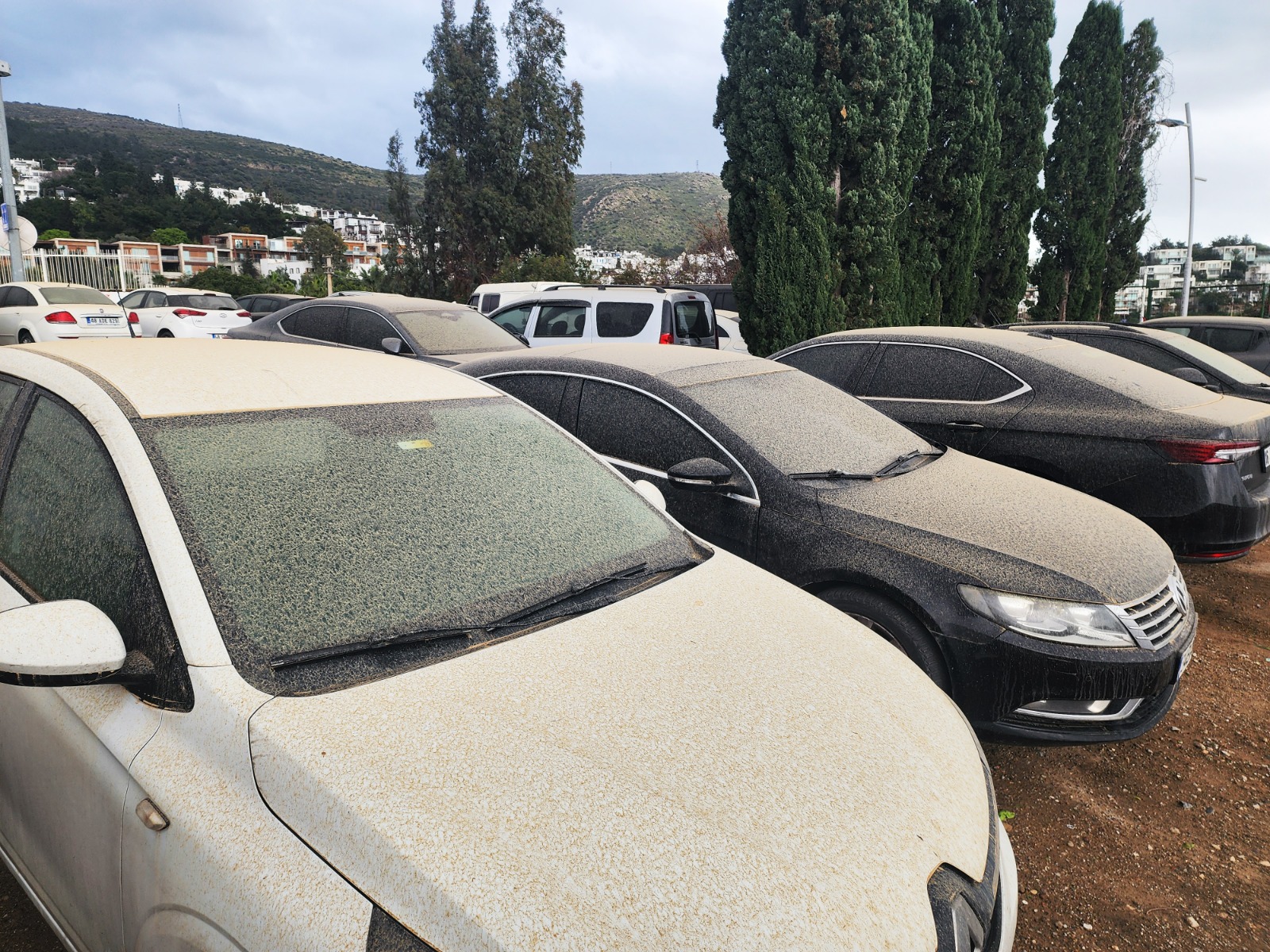 Whatsapp Image 2025 04 01 At 09.55.47 (1)