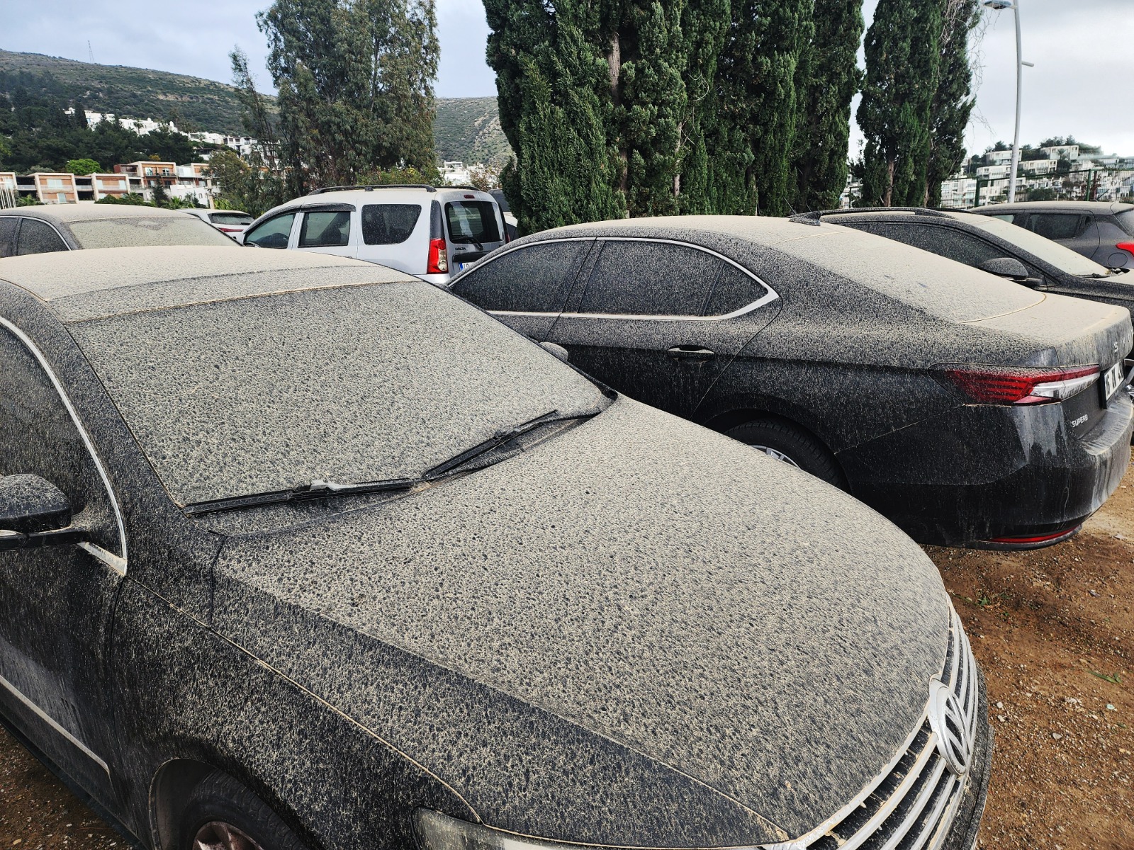 Whatsapp Image 2025 04 01 At 09.55.47