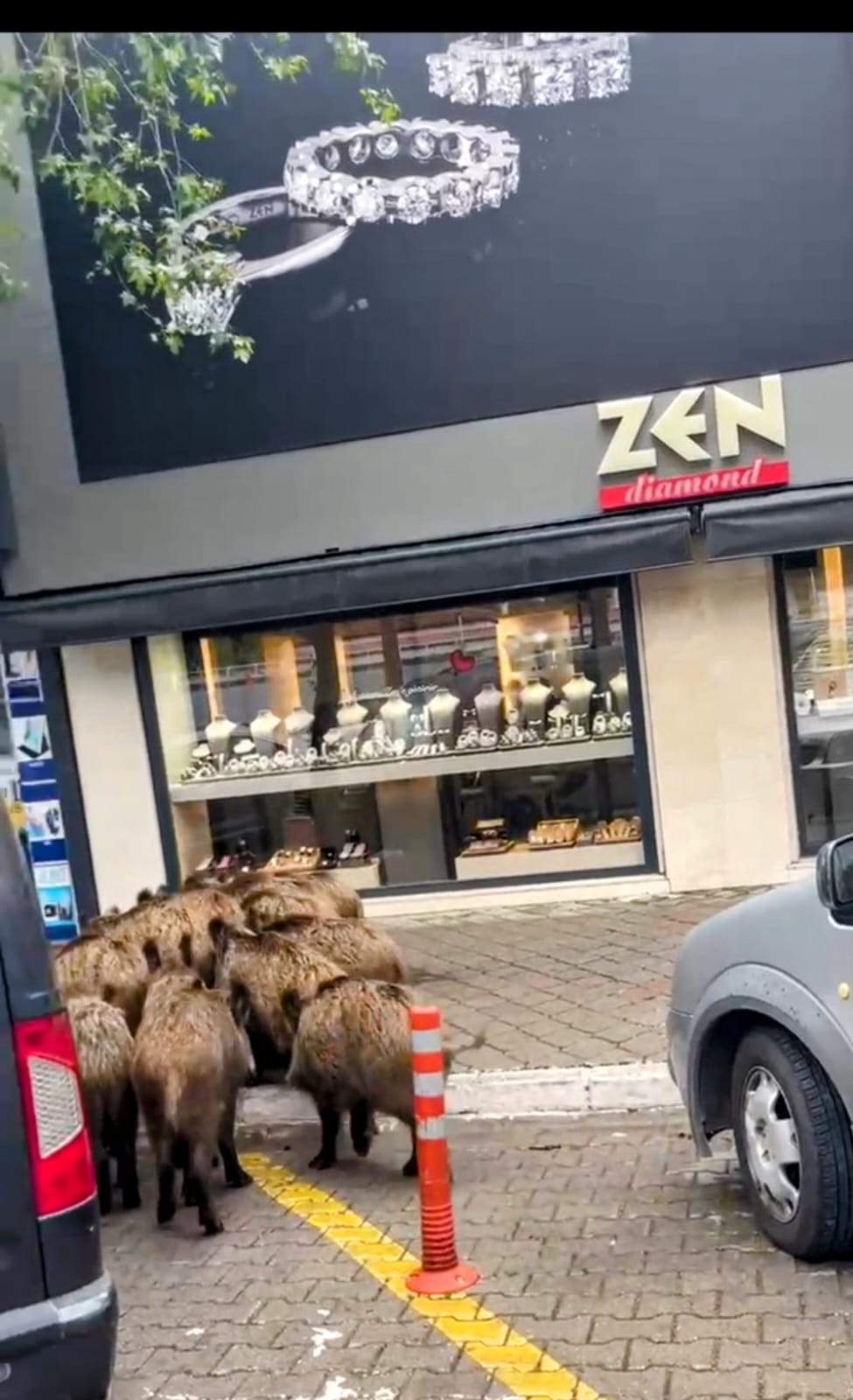 Whatsapp Image 2025 04 02 At 13.57.14 (1)