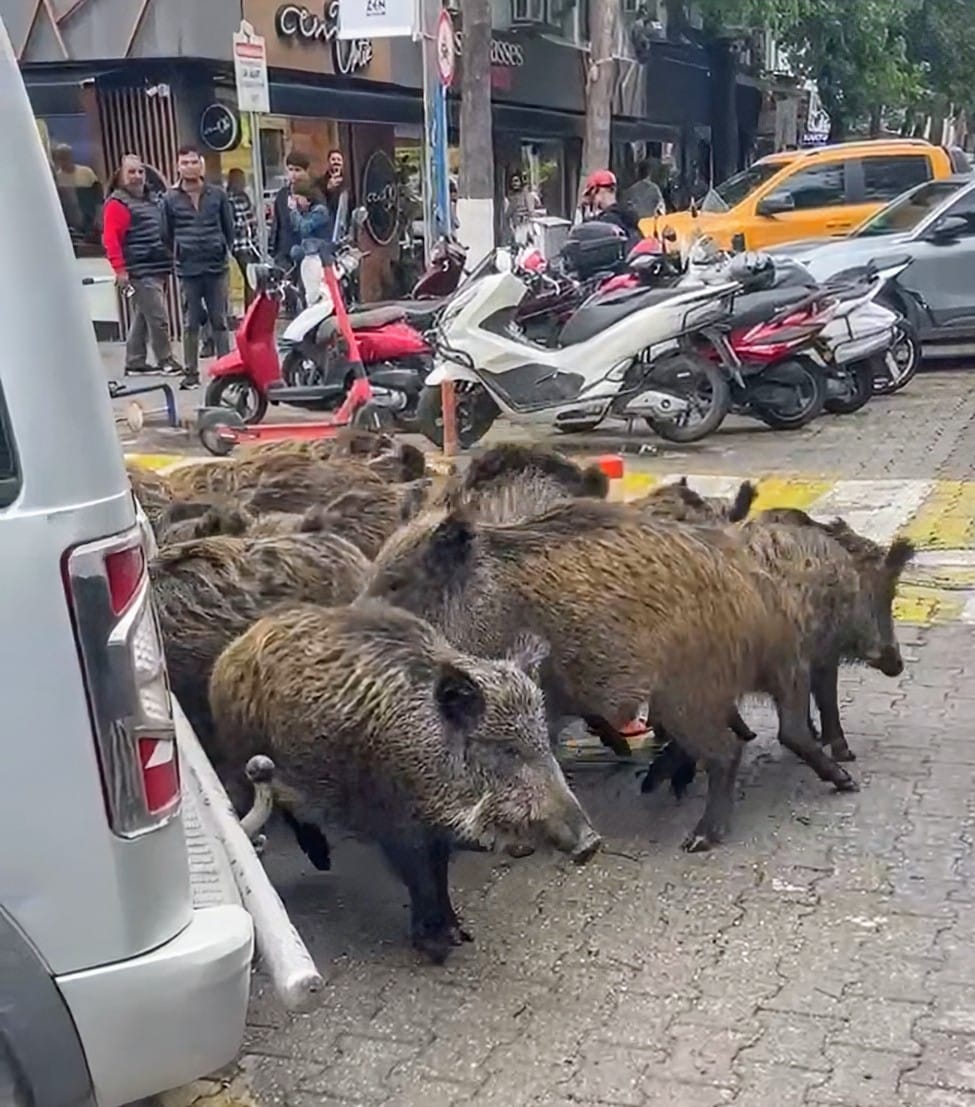 Whatsapp Image 2025 04 02 At 13.57.14