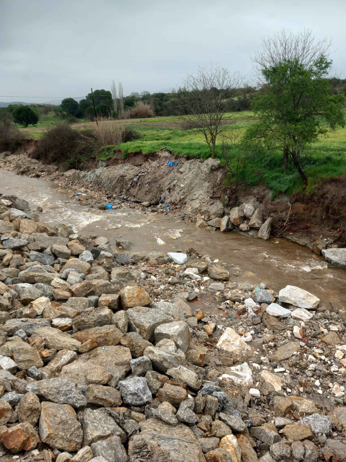 Whatsapp Image 2025 04 02 At 14.15.05 (1)