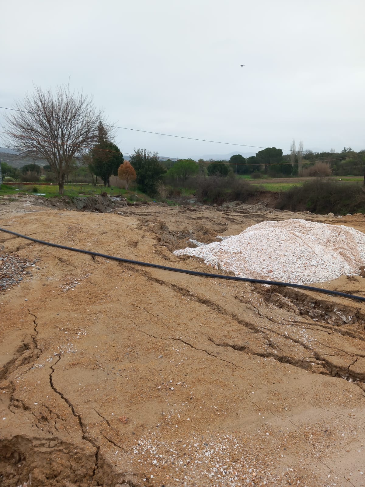 Whatsapp Image 2025 04 02 At 14.15.06 (1)