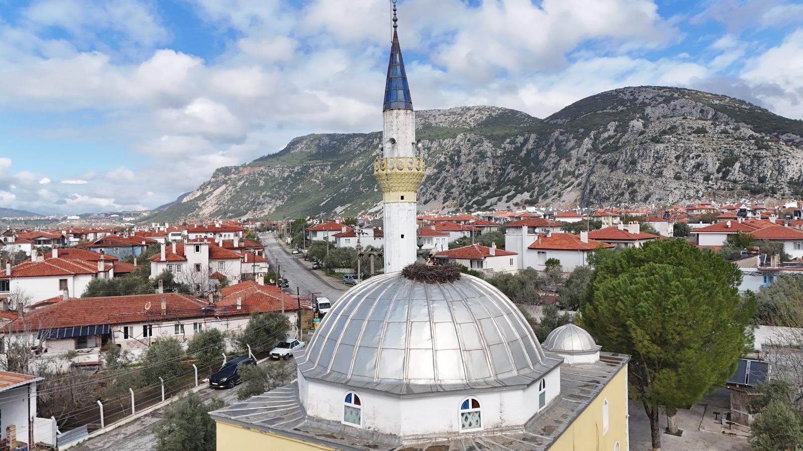 Whatsapp Image 2025 04 04 At 10.58.47 (1)