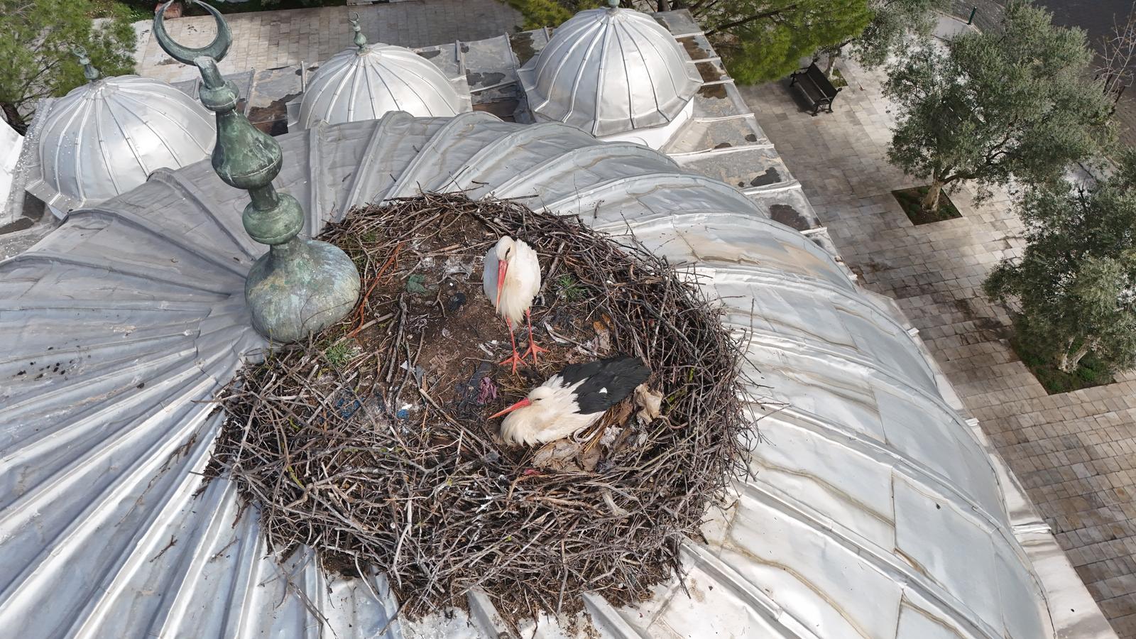 Whatsapp Image 2025 04 04 At 10.58.47