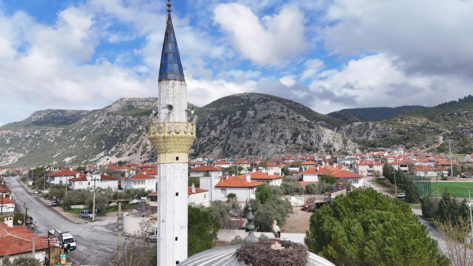 Whatsapp Image 2025 04 04 At 10.58.48 (2)