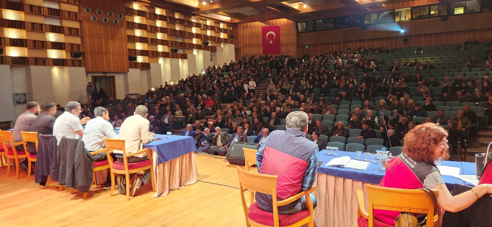 Whatsapp Image 2025 04 06 At 18.40.33