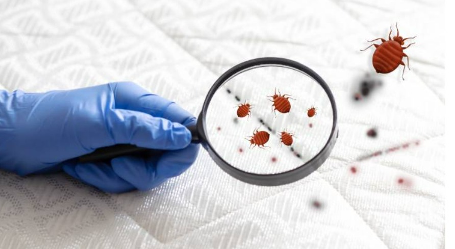 Whatsapp Image 2025 04 07 At 10.04.09