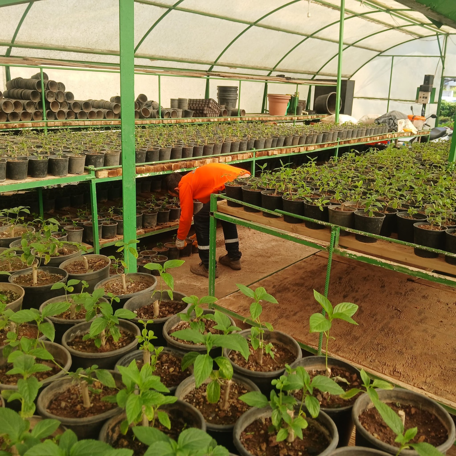 Whatsapp Image 2025 04 07 At 17.05.26