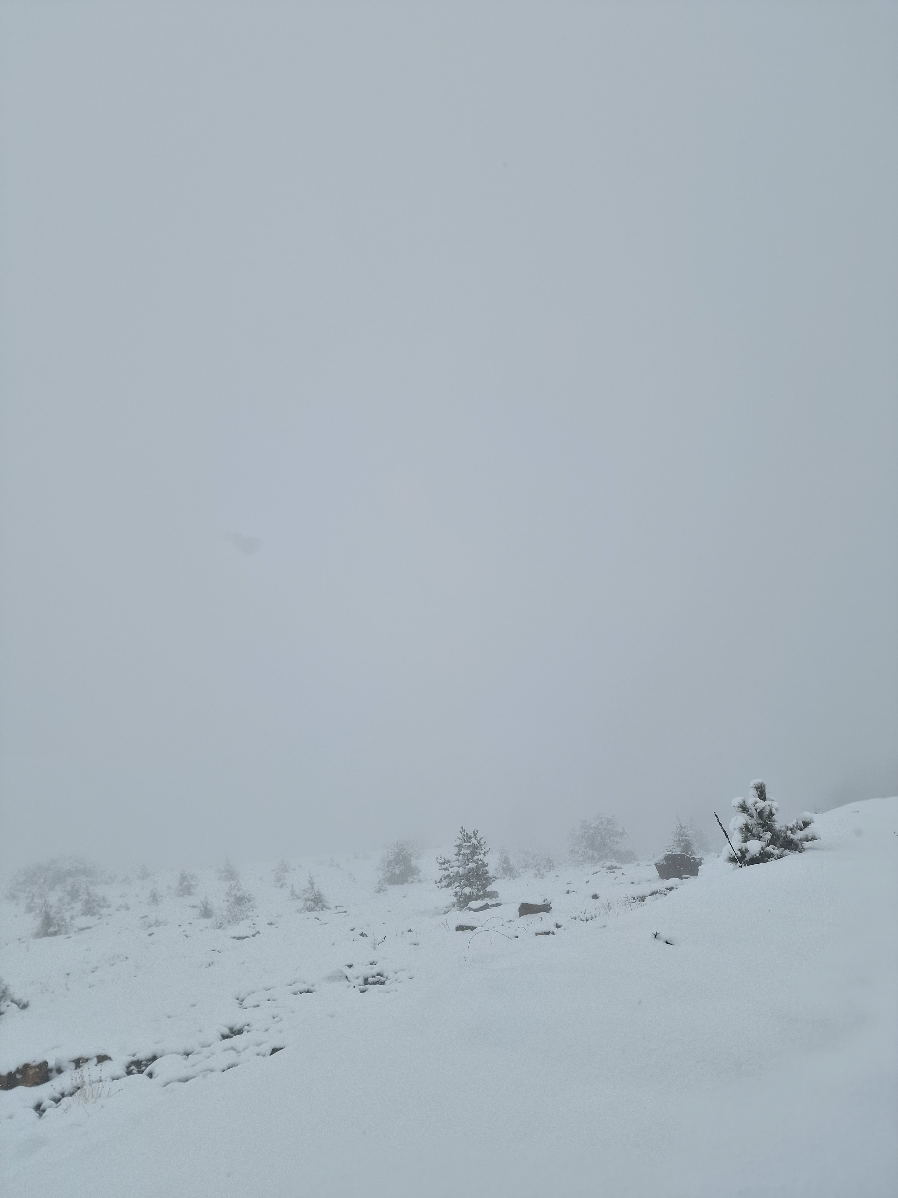 Whatsapp Image 2025 04 09 At 15.08.20