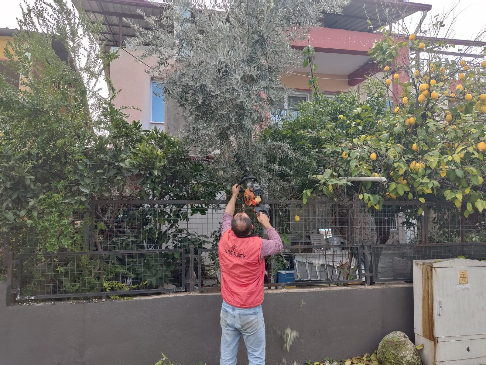 Whatsapp Image 2025 04 15 At 13.46.42