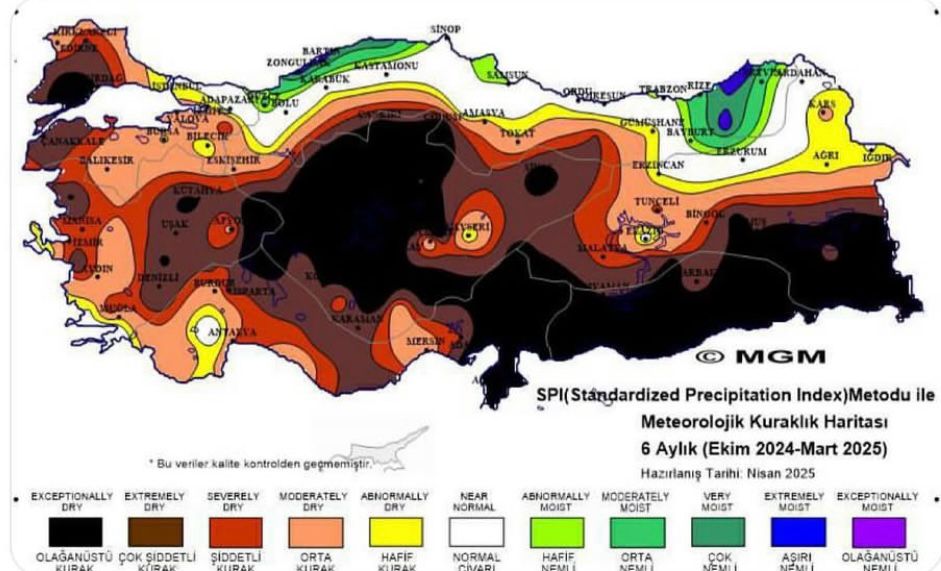Whatsapp Image 2025 04 20 At 13.23.59 (1)