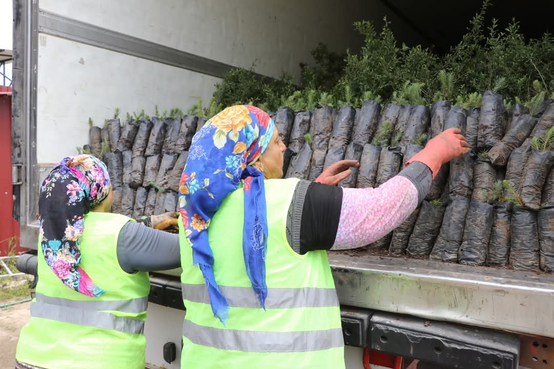 Whatsapp Image 2025 04 24 At 15.49.40 (1)