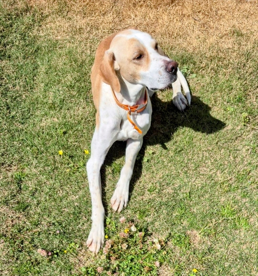 Whatsapp Image 2025 04 24 At 16.15.32