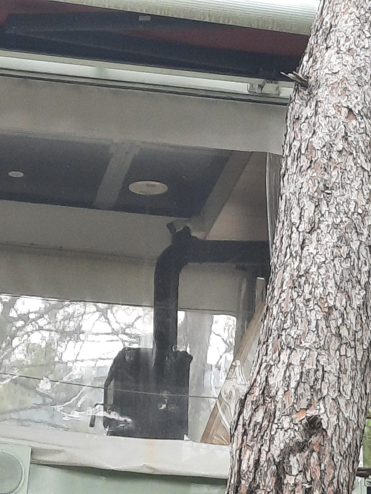 Whatsapp Image 2025 04 25 At 12.57.14