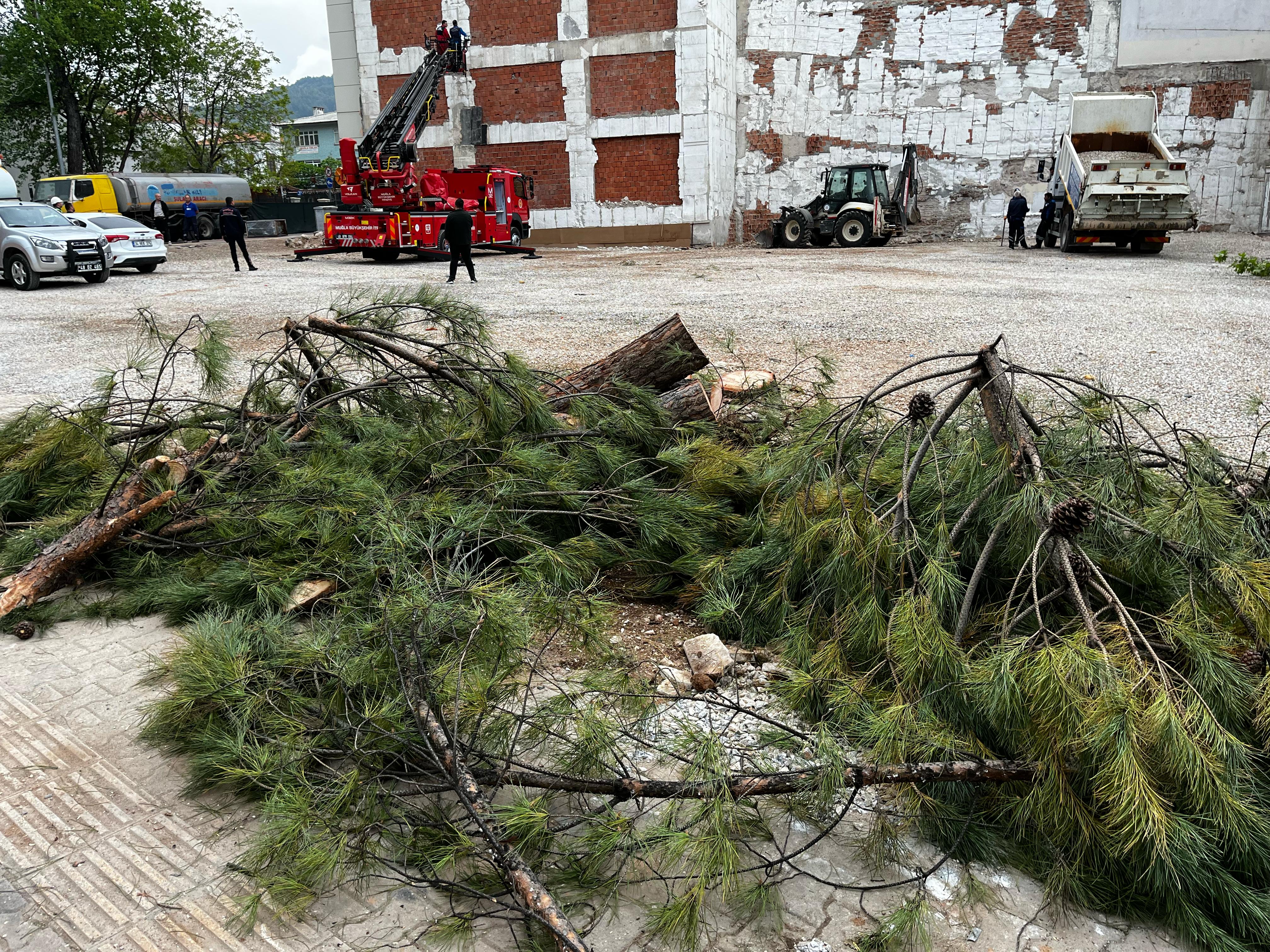 Whatsapp Image 2025 04 25 At 15.51.34